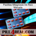 Pastillas Milagrosas De Raíz Malvada 05